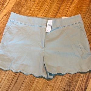 Loft Scalloped shorts